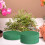 6 blocos redondos de espuma floral para flores secas e 4