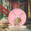 de roda silenciosa para hamster, ouriço e chinchila 3