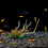Artificial Grass Aquarium Decor Mini Underwater Plant 5