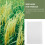 100 Pcs Parchment Bags For Rice Pollination And Seed Storage 7