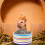 2Pcs Thickened Ceramic Pet Feeding Bowl For Hamster Animal 11
