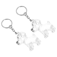 4Stk Hundehaar Erinnerungsanhänger Transparent Für Haustier Gedenken