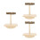 3Pcs Interactive Wooden Rocking Perch For Parrot Training And Play 6