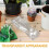 10Pcs Plastic Plant Carrier With Ventilated Clamshell For Seedlings 8