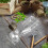 10Pcs Plastic Plant Carrier With Ventilated Clamshell For Seedlings 6