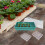 One Set Plant Germination Box Starter Mini Greenhouse Case 9