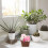 4Pcs Rustic Sundries Container Basket For Storage And Organization 6