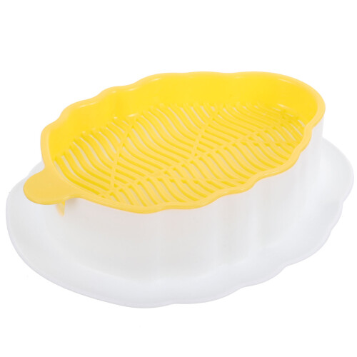 2Pièces Pot Hydroponique Pour À Chat Design Coloré