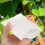 100 Pcs Parchment Bags For Rice Pollination And Seed Storage 4
