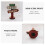 2St Wegwijzers Miniatuur Creatief Ornament 11