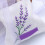 1 Set 15 Pcs Lavender Scented Sachets Empty 5