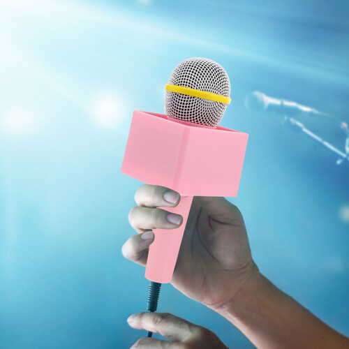 Micro Simulation Rose Portable Plastique Pour Karaoké Et Fête 2
