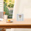4Pcs Wooden Dried Flower Shadow Box Frame Display Case 7