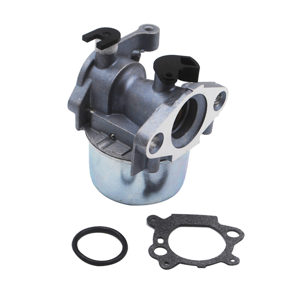 Carburetor For 794304 796707 799866 790845 799871 3354132056440