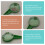 12Pcs Plastic Seeder Dispenser Spreader Planter Tool 8