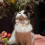 1Adjusteerbare Parel Halsband En Kleine 3
