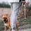 Dog Training Door Bell Rustic Hanging Pet Doorbell 7