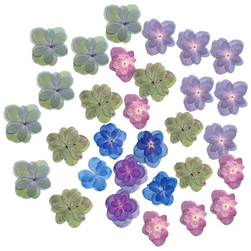 120 Pcs Pressed Flowers For Diy Scrapbooking And Decorative Use 1