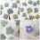 120 Pcs Pressed Flowers For Diy Scrapbooking And Decorative Use 6