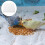 100 Sheets Disposable Bird Cage Liner Papers Absorbent Cushions 6