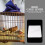 100 Sheets Disposable Bird Cage Liner Papers Absorbent Cushions 10