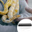 12 Pcs Professional Snake Gender Detector Probe 10