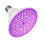 (GU10, 60 LEDs) Full Spectrum LED Bulb for Indoor Gardening and Plant Growth 4