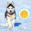 3Pcs Personalized Aluminum Pet ID Tags Dog Paw Shape Hanging Tags 6