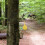 1Ensemble Cible Spinning Acier Pour Jeu Entraînement 6