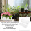 3 Sets White Planter Pot Large Succulent Basin With Tray 11