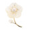 1St Schelp Parelk Broche Delicate Modieuze Corsage 1