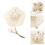 1St Schelp Parelk Broche Delicate Modieuze Corsage 4