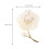 1St Schelp Parelk Broche Delicate Modieuze Corsage 7