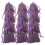 12 de lavanda para armarios, roperos y cajones 11