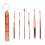 2Sets Multipurpose Golden Ear Picks with Aluminum Storage Cylinder 1