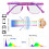 2 Pairs Blue Light Blocking Glasses For Children Eyewear 9