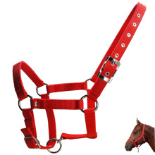 Horse Halter 25mm Wide PP Webbing, Metal Buckle, Lightweight Rope Halter For Horses, Portable Mini Halter