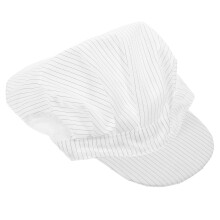 2Pièces Casquettes Industrie Anti-Statique Respirantes