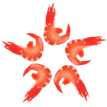 10 Pcs Imitation Shrimp Model For Photography And Early Education