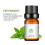 One Box 6Pcs 10Ml Óleo Natural Orgânico Para 11
