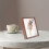 2Pcs Wooden Dried Flower Frame Display Stand Shadow Box Case 10