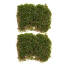 6 Gras Deko Landschaftsdekoration Heimwerker Diy