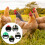5Pcs Funny Chicken For Bird Head Protection 5