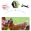 5Pcs Funny Chicken For Bird Head Protection 7