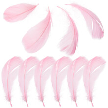 45Stk Rosa Schmuckfeder Für Maniküre & Kosmetikdisplay