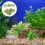 16 Pcs Artificial Aquarium Plants Fish Tank Decor 9