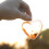 40 Pcs Clear Heart‐Shaped Plastic Bath Bomb Mold For Decor 11