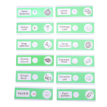 24 Pcs Prepared Microscope Slides Vegetable Specimens