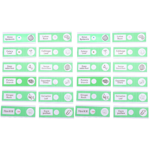24 Pcs Prepared Microscope Slides Vegetable Specimens 1