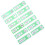 24 Pcs Prepared Microscope Slides Vegetable Specimens 11